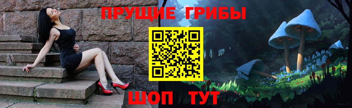 Псилоцибиновые грибы Cubensis  Вход с VPN  цены   Псилоцибиновые грибы GOLDEN TEACHER  Печора 