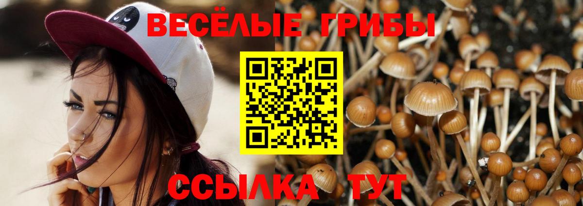 Галлюциногенные грибы мухоморы Печора